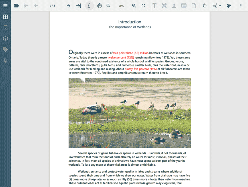 DsPdfViewer Project